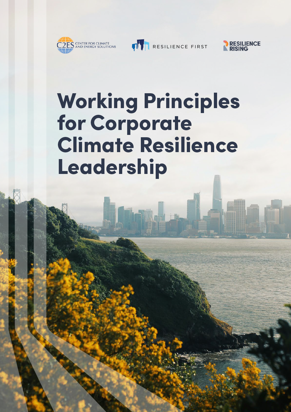 corporate climate resilient pathways working principles